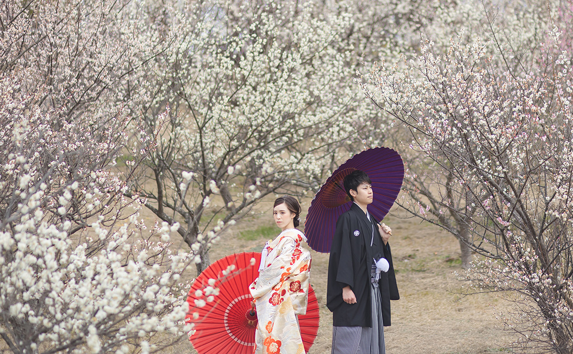 梅の花ロケーションプラン 神戸の和装前撮り フォトウエディングのスタジオゼロ
